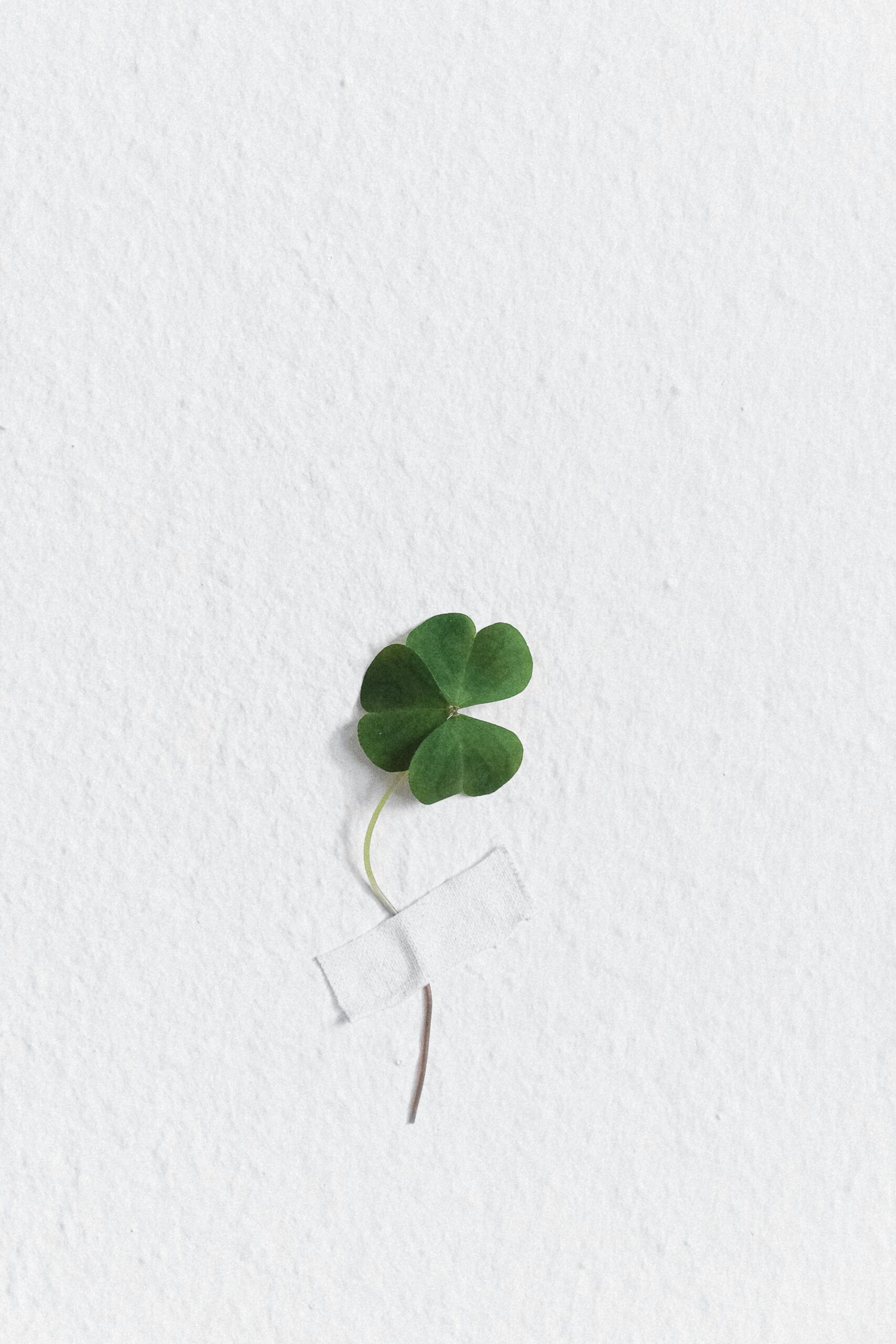 A simple green four-leaf clover taped on a textured white wall for a minimalist touch.